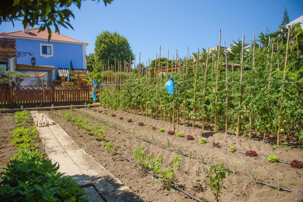 Venda do Pinheiro Ninho Saloio Bed & Breakfast エクステリア 写真