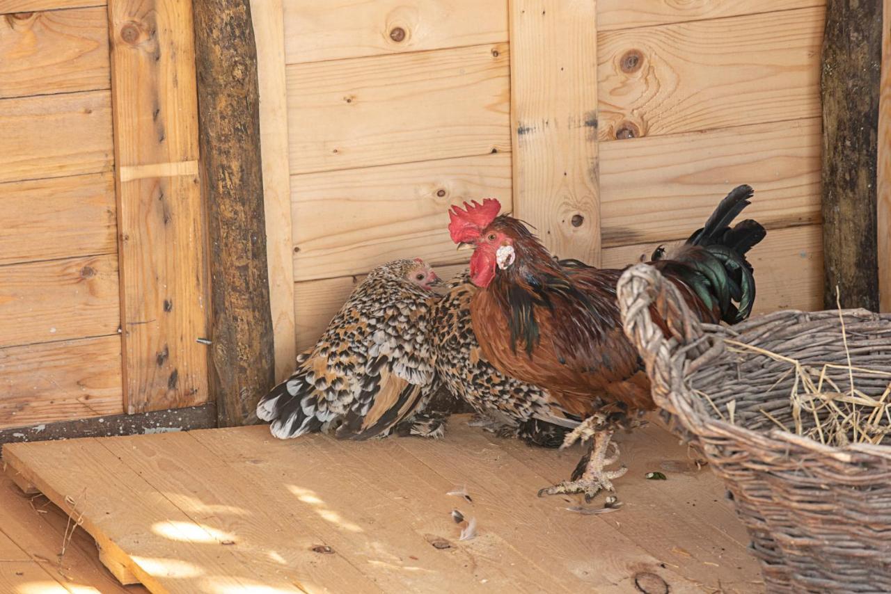 Venda do Pinheiro Ninho Saloio Bed & Breakfast エクステリア 写真